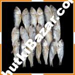 চাপিলা বা চামিলা শুঁটকি