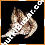 সাদা ছাগা চিংড়ি