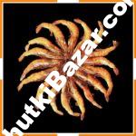 লাল চিংড়ি লই্ল্ল্যা ইছা