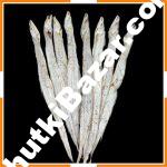 মাঝারি জাতী ছুরি শুটকি