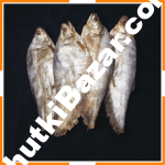 Fali-Ba-Kaglar-Shutki