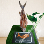 লাক্ষ্যা শুঁটকি