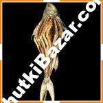 লাক্ষ্যা শুঁটকি