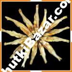 বড় মলা শুটকি