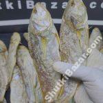 পোয়া শুঁটকি