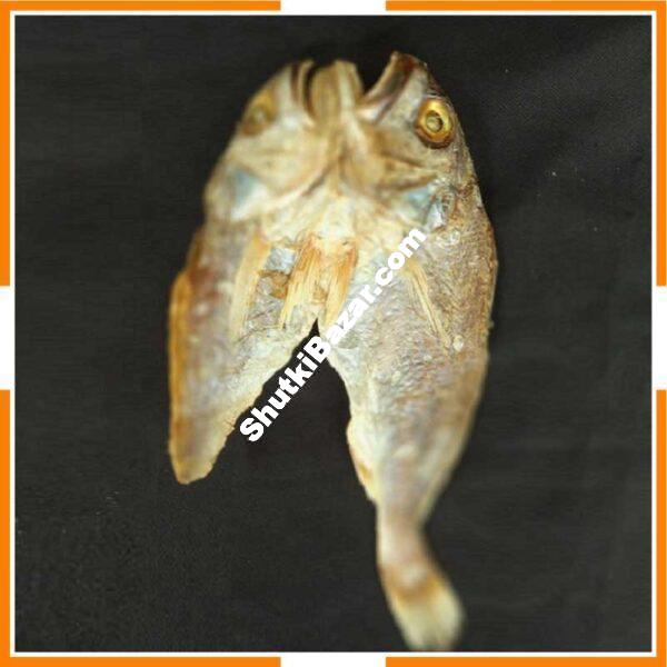 পোপা শুঁটকি ((ফারা মাজারি))