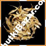 সুন্দরী শুটকি