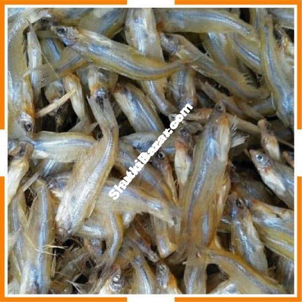 নইনা শুটকি