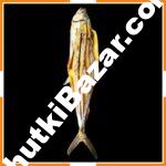 টোনা শুটকি