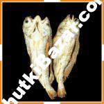 বড় পোপা শুঁটকি