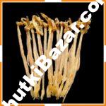 স্পেশাল পেটকাটা লইট্ট্যা শুঁটকি