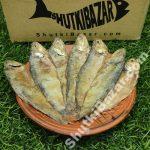 ফাইস্যা চ্যাপা/সিদল