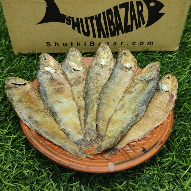 ফাইস্যা চ্যাপা/সিদল