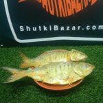 নোনা ইলিশ (আস্ত-বড়)