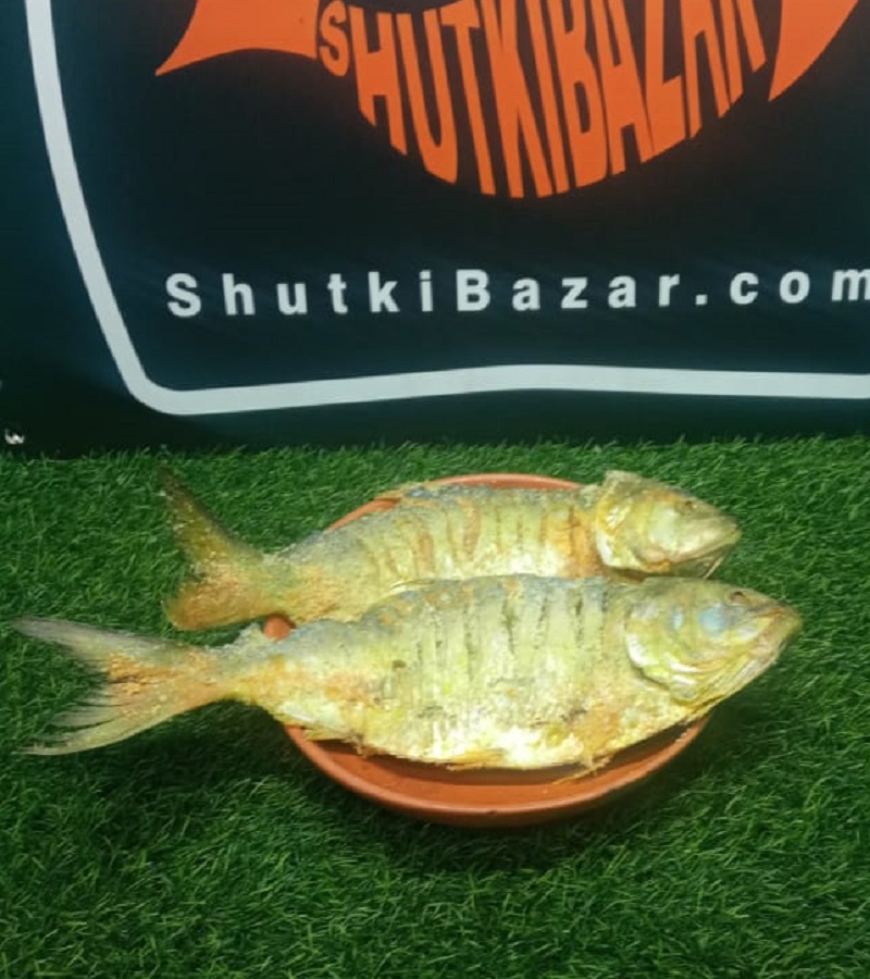 নোনা ইলিশ (আস্ত-বড়)