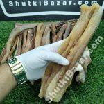 লরি হাঙ্গর শুঁটকি